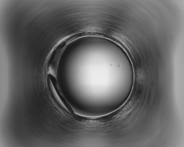 X0000096991115200802081422