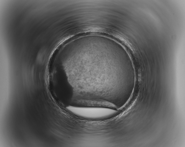 X0000096991117200802081422