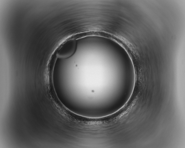 X0000096991118200802081422