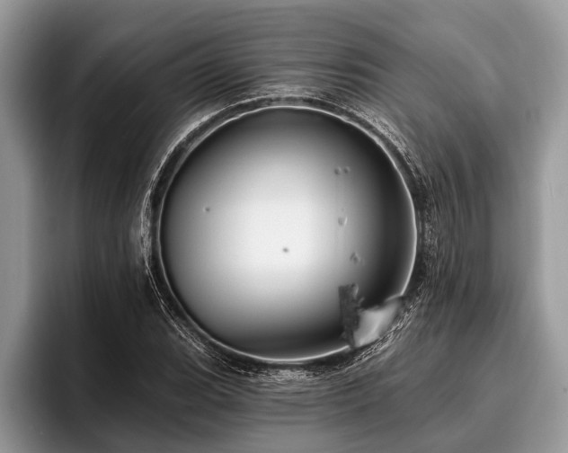 X0000096991119200802081422