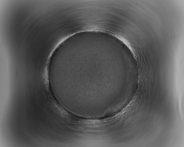 X0000096991120200802081422