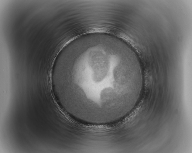 X0000096991121200802081422