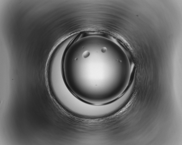 X0000096991122200802081422