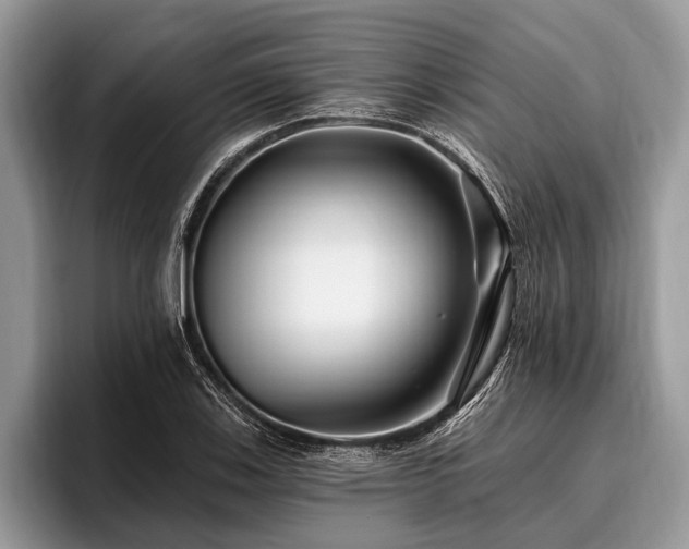X0000096991123200802081422