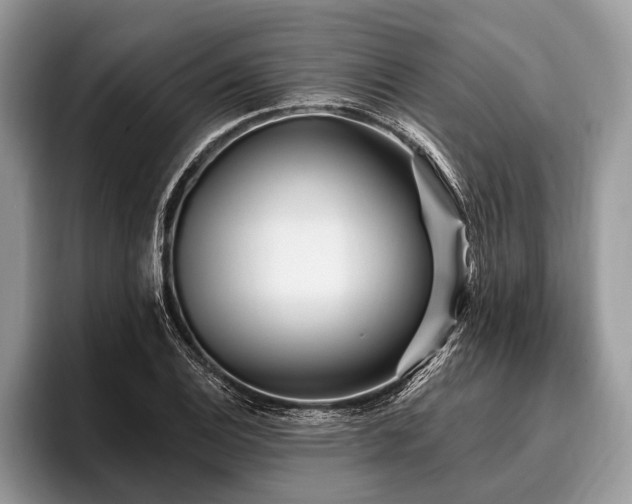 X0000096991124200802081422