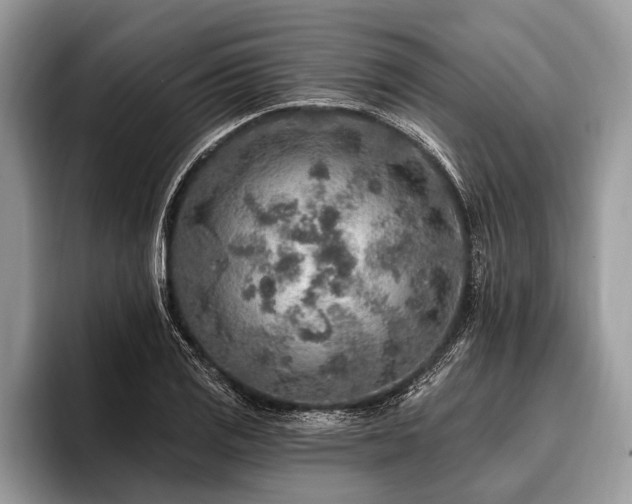 X0000096991125200802081422