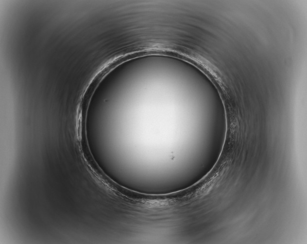 X0000096991126200802081422