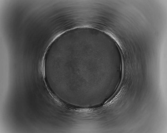 X0000096991127200802081422