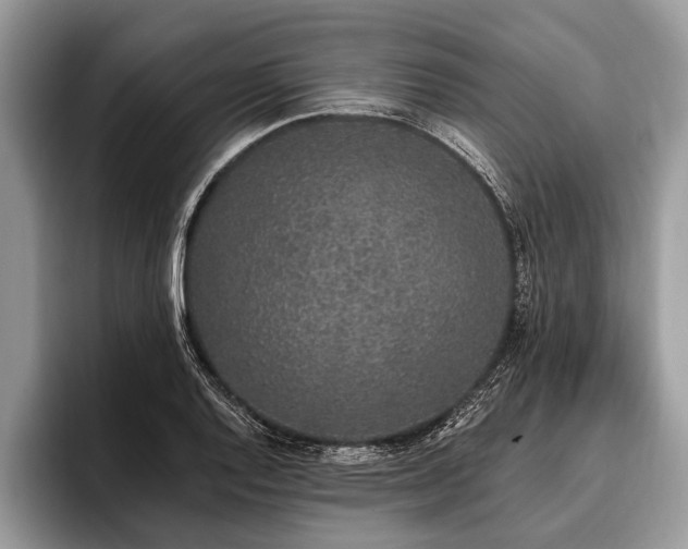 X0000096991128200802081422