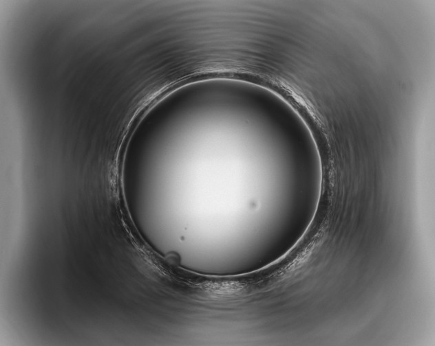 X0000096991129200802081422