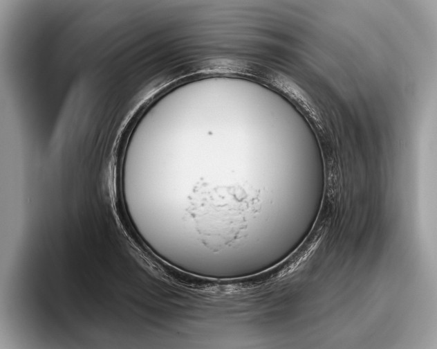 X0000096991130200802081422
