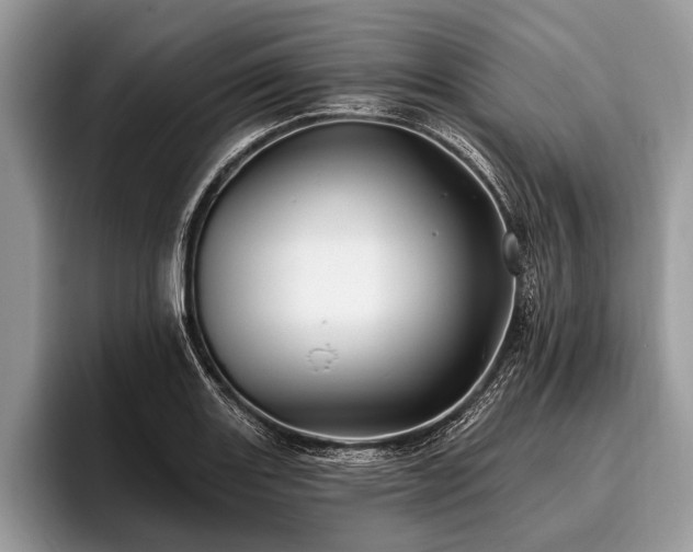 X0000096991131200802081422