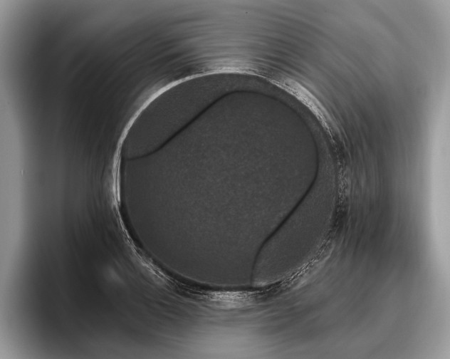 X0000096991132200802081422