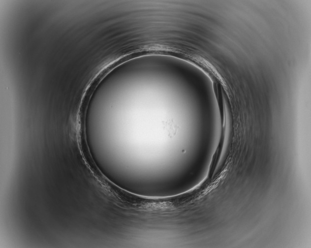X0000096991133200802081422