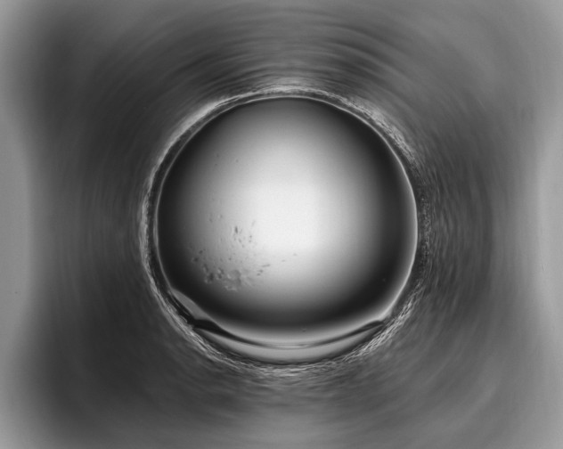 X0000096991134200802081422