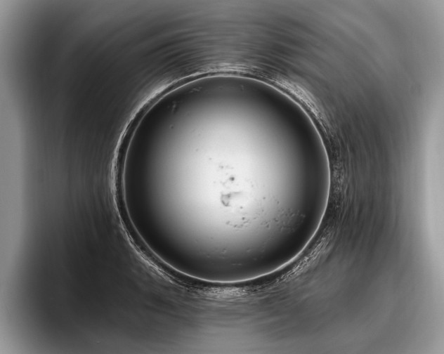 X0000096991135200802081422