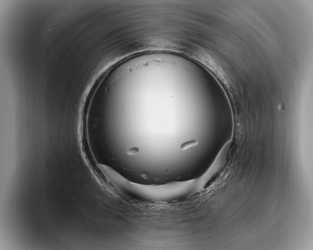 X0000096991136200802081422
