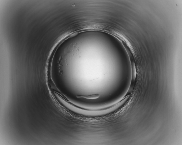 X0000096991138200802081422