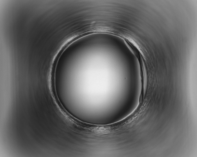 X0000096991139200802081422