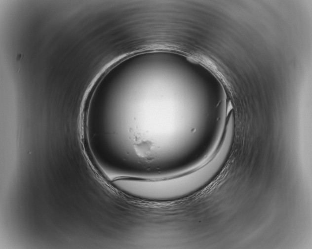X0000096991140200802081422