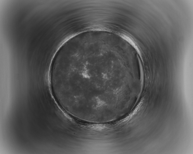 X0000096991141200802081422