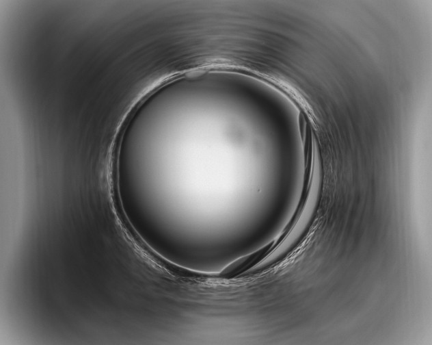 X0000096991142200802081422