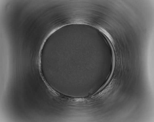 X0000096991144200802081422