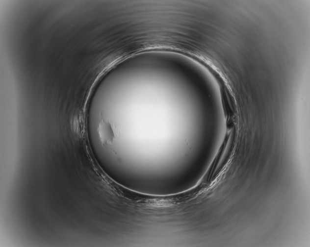 X0000096991145200802081422
