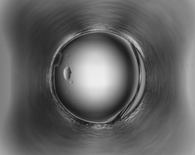 X0000096991146200802081422