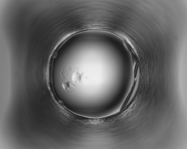 X0000096991147200802081422
