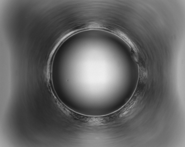 X0000096991148200802081422