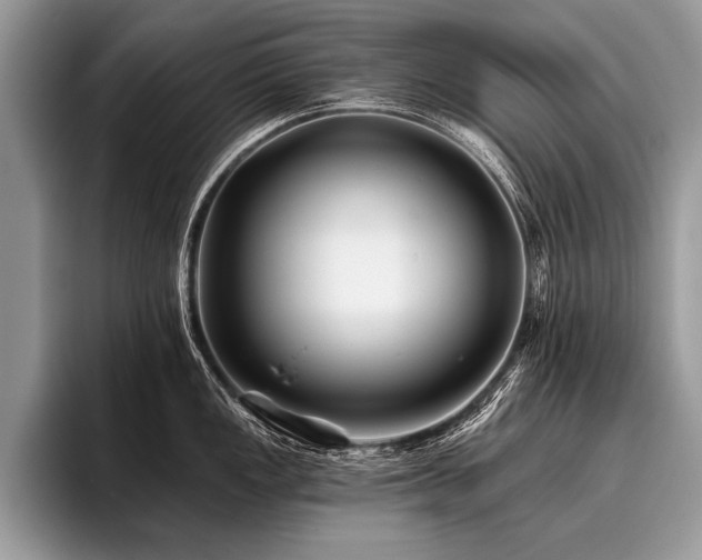 X0000096991149200802081422