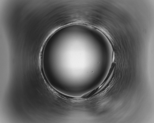 X0000096991151200802081422