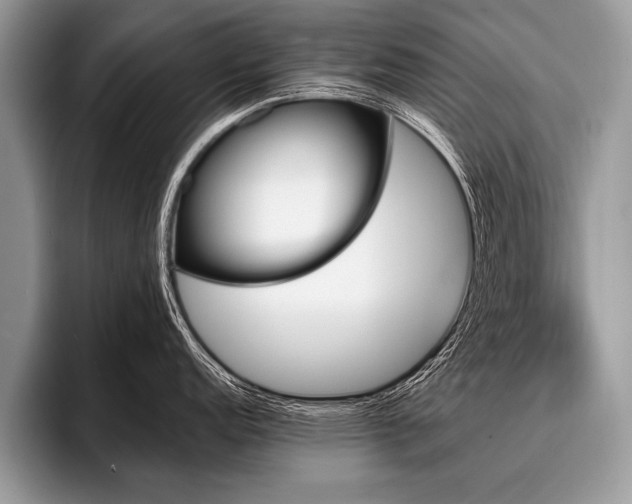 X0000096991152200802081422