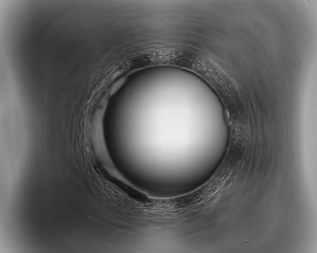 X0000096991153200802081422