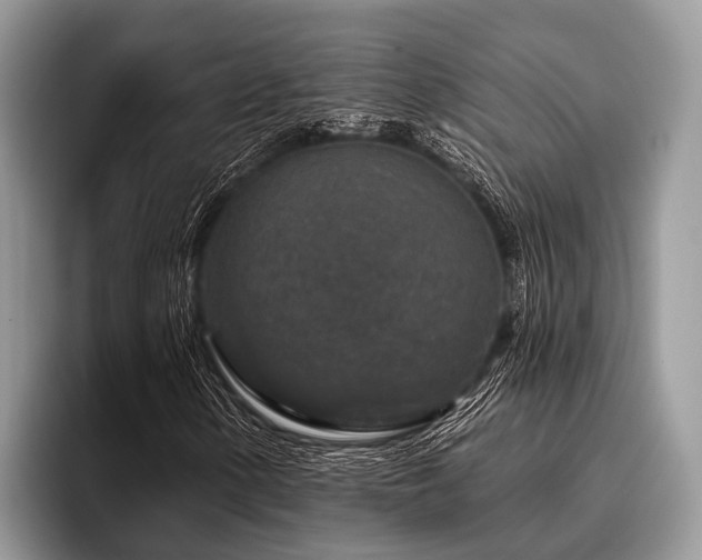 X0000096991154200802081422