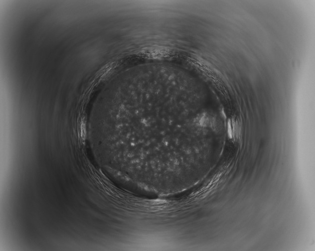 X0000096991155200802081422