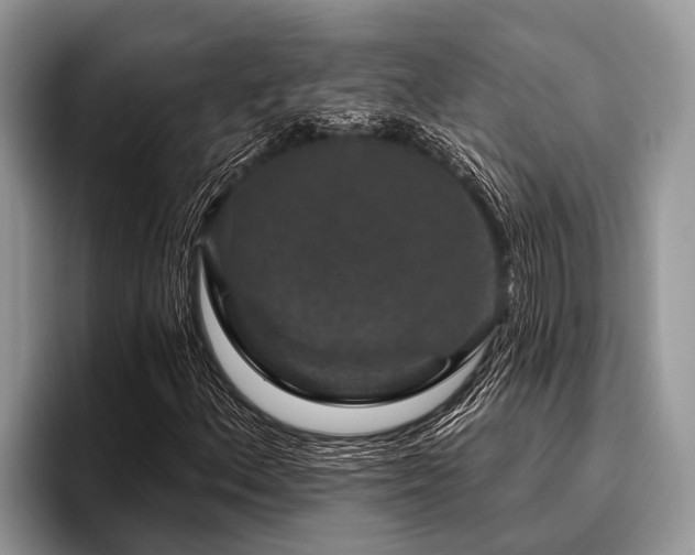 X0000096991156200802081422