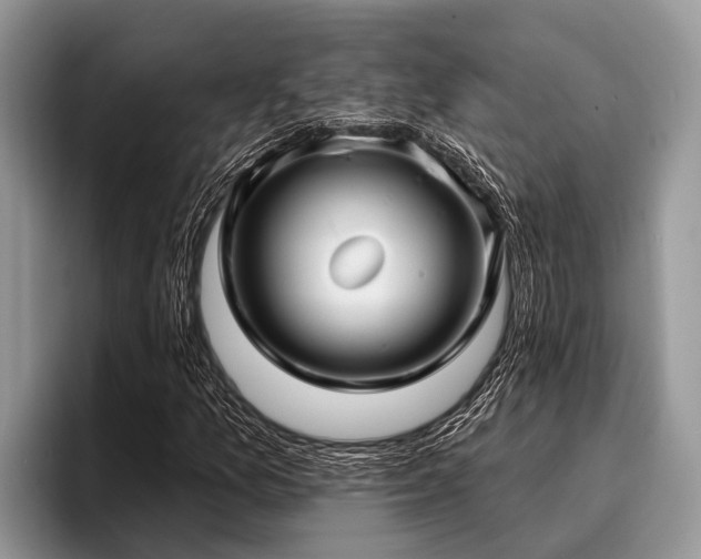 X0000096991157200802081422