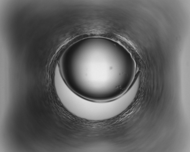 X0000096991160200802081422