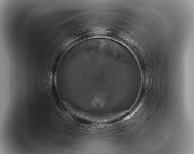 X0000096991161200802081422