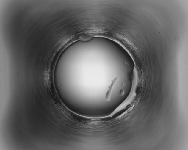 X0000096991162200802081422