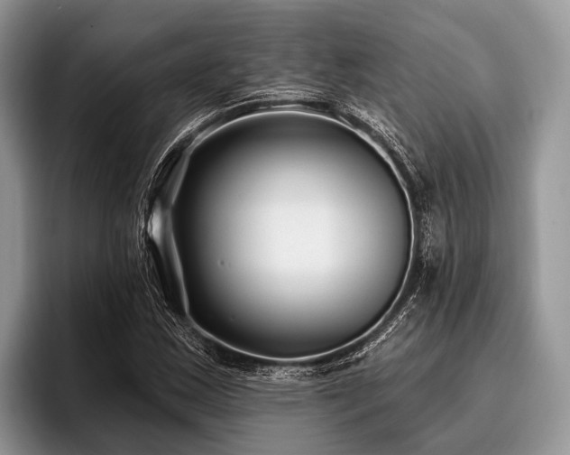 X0000096991163200802081422