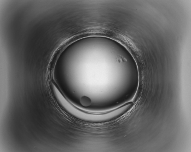 X0000096991164200802081422