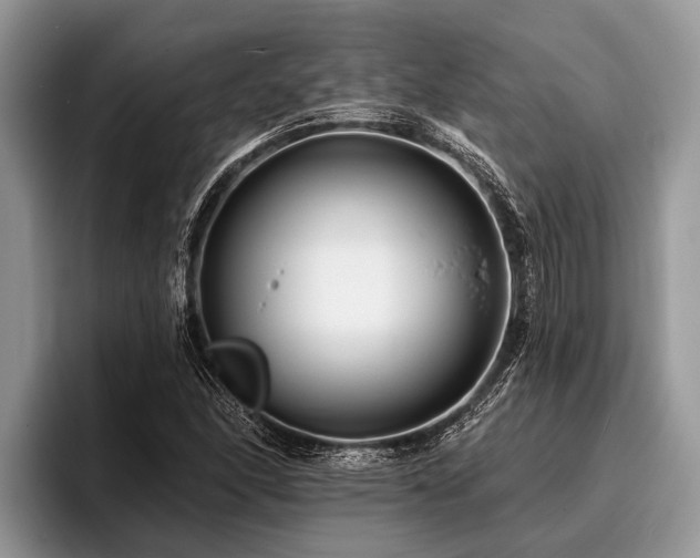 X0000096991166200802081422