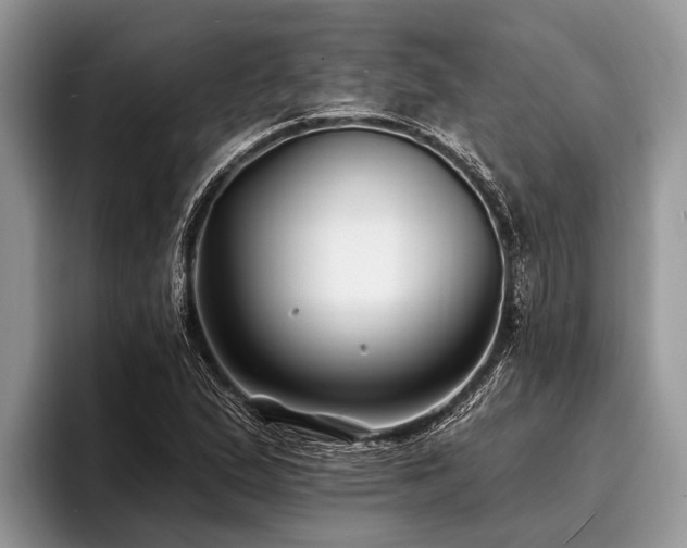 X0000096991167200802081422