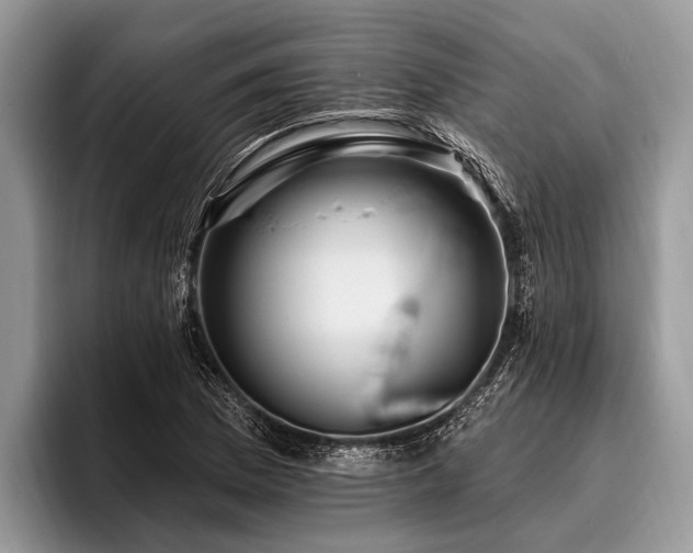 X0000096991169200802081422