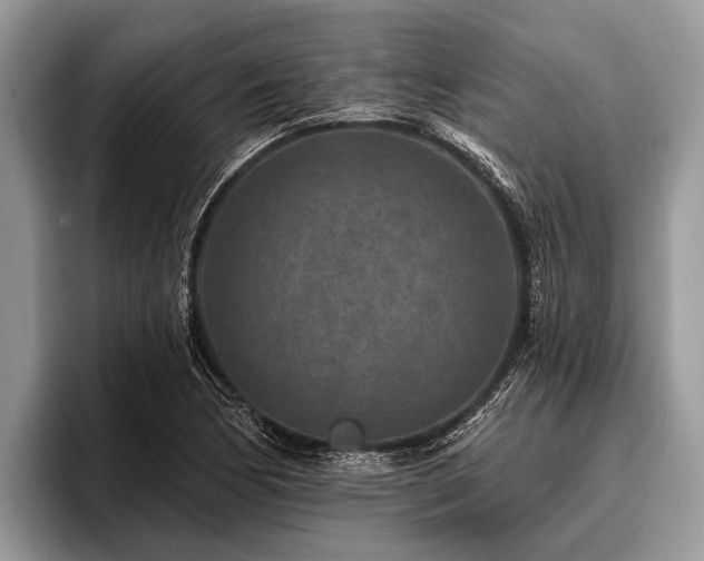 X0000096991170200802081422