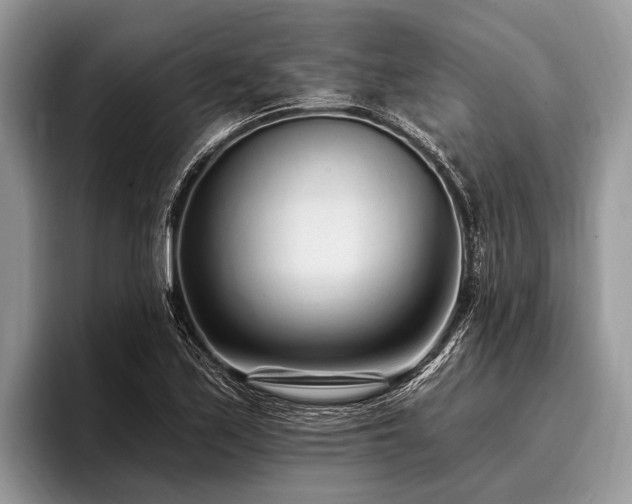 X0000096991171200802081422