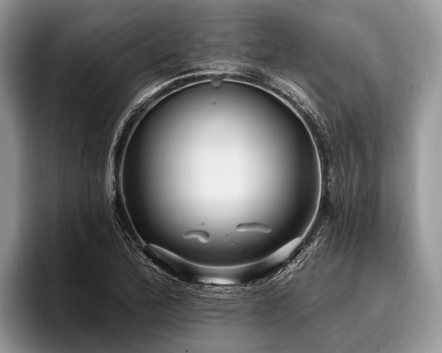 X0000096991172200802081422